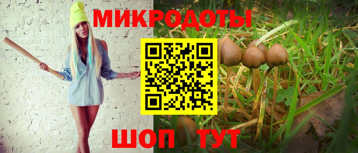 Галлюциногенные грибы ЛСД Самара
